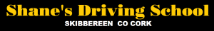 Automatic  logo